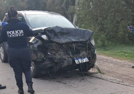 CAMIONETA 